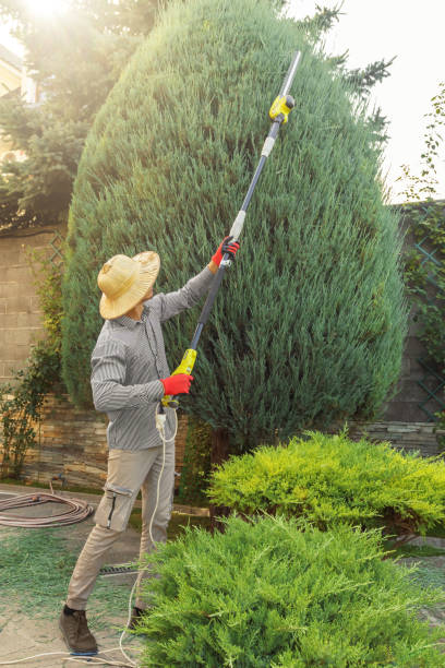 Best Hazardous Tree Removal  in Deerfield, IL